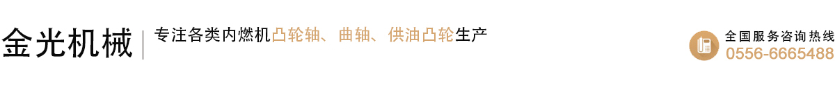安徽金光機(jī)械集團(tuán)股份有限公司